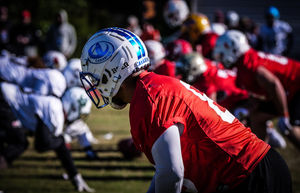 Image post by @carabins on Instagram