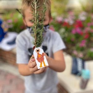 Image post by @kidsgardening on Instagram