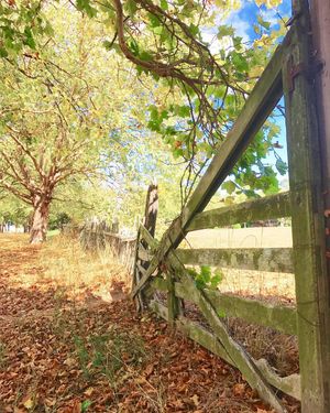 Image post by @ucsc on Instagram