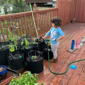 Image post by @kidsgardening on Instagram