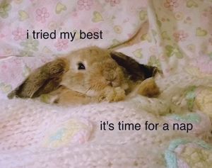 Image post by @envypillow on Instagram