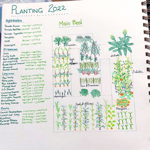 Image post by @bonnieplants on Instagram