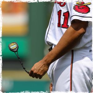 Image post by @rocredwings on Instagram