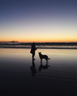 Image post by @zofeeagenota on Instagram