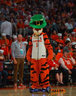 Image post by @cutigervision on Instagram