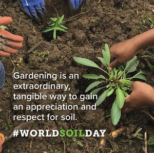 Image post by @kidsgardening on Instagram