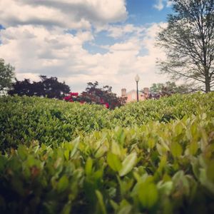 Image post by @davewphotography on Instagram