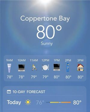 Image post by @coppertoneusa on Instagram