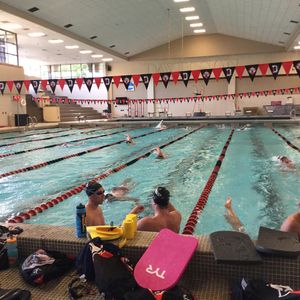 Image post by @davidsonswimdive on Instagram