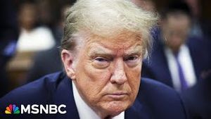 Video post by @msnbc on YouTube