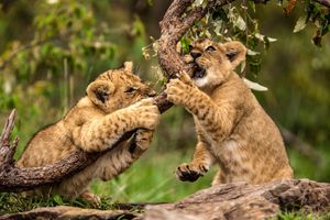Image post by @natgeo on Instagram