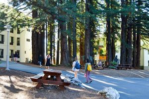 Image post by @ucsc on Instagram