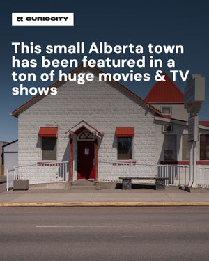 Image post by @curiocitycalgary on Instagram