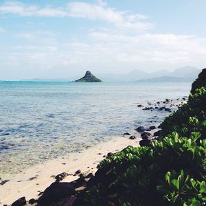 Image post by @olukai on Instagram