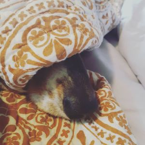 Image post by @hollysmee on Instagram