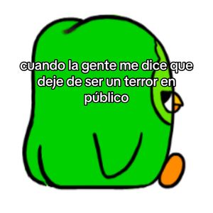 Image post by @duolingo on TikTok