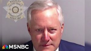Video post by @msnbc on YouTube