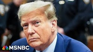 Video post by @msnbc on YouTube