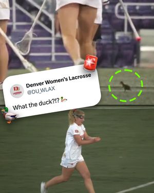 Image post by @unleashedwlax on Instagram