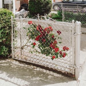 Image post by @vsco on Instagram