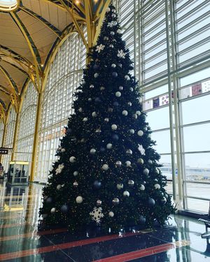 Image post by @seanmspicer on Instagram