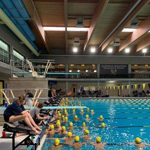 Image post by @gustieswimdive on Instagram