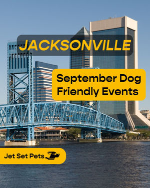 Image post by @jetsetpets on Instagram