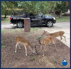 Image post by @stonewaterroofing on Instagram