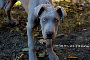 Image post by @madisoncollinsphotography on Instagram