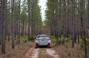 Image post by @schompsubaru on Instagram