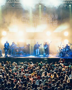 Image post by @lettucefunk on Instagram
