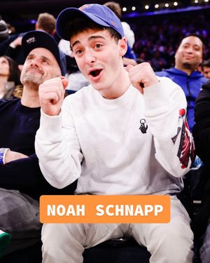 Image post by @nyknicks on TikTok