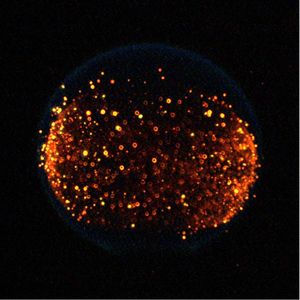 Image post by @nasa on Instagram