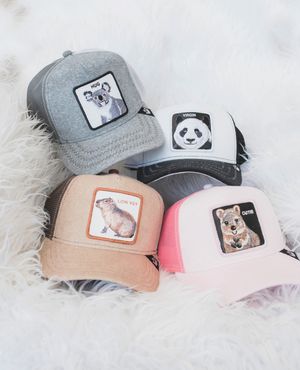 Image post by @goorinbros on Instagram