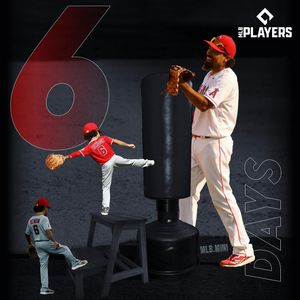 Image post by @mlb.mini on Instagram