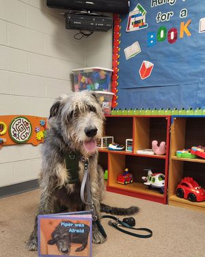 Image post by @thesavannahwolfhound on Instagram