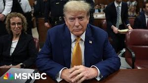 Video post by @msnbc on YouTube