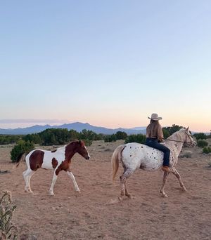 Image post by @cowgirlmagazine on Instagram