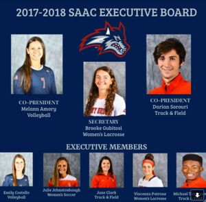 Image post by @stonybrookxctf on Instagram