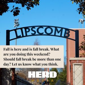 Image post by @medialipscomb on Instagram