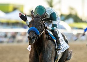 Image post by @thebloodhorse on Instagram