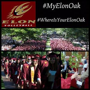 Image post by @elonvb on Instagram
