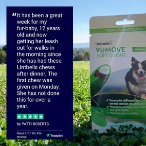 Image post by @yumove_usa on Instagram