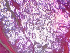 Image post by @vumcpathology on Instagram