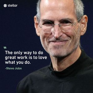 Image post by @stellaragency on Instagram