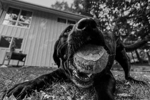 Image post by @huntsphotovideo on Instagram
