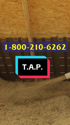 Video post by @bugbustersusa on TikTok