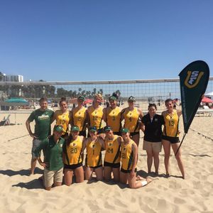 Image post by @usfdonsvb on Instagram