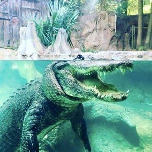 Image post by @ftwchamber on Instagram