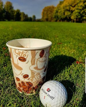 Image post by @wilsongolfcanada on Instagram